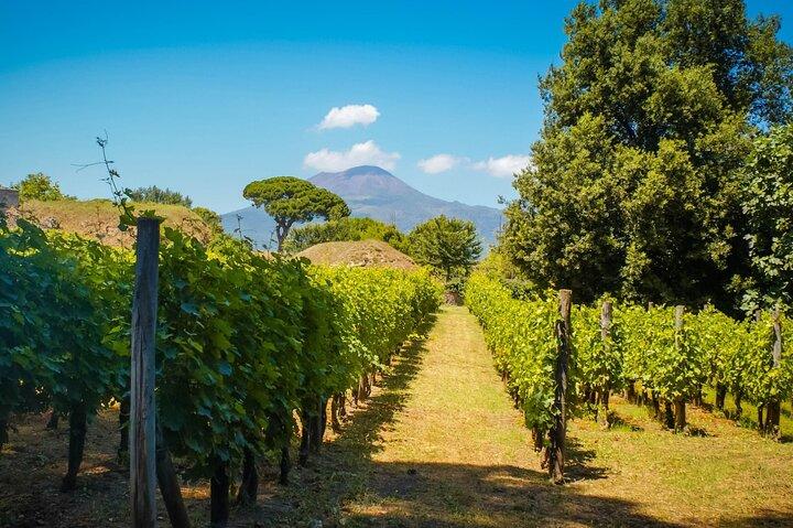 ポンペイのプライベート ツアーとヴェスヴィオ山腹でのブドウ園ランチ