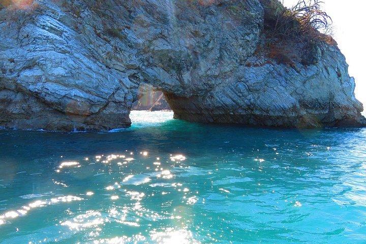 Tortuga Island, Spider Monkey & Bioluminescent Snorkel - Tambor