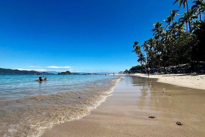 Tortuga Island, Spider Monkey & Bioluminescent Snorkel - Tambor