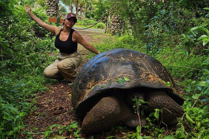 エコドームロッジに滞在して、ゾウガメや溶岩トンネルを探検しよう