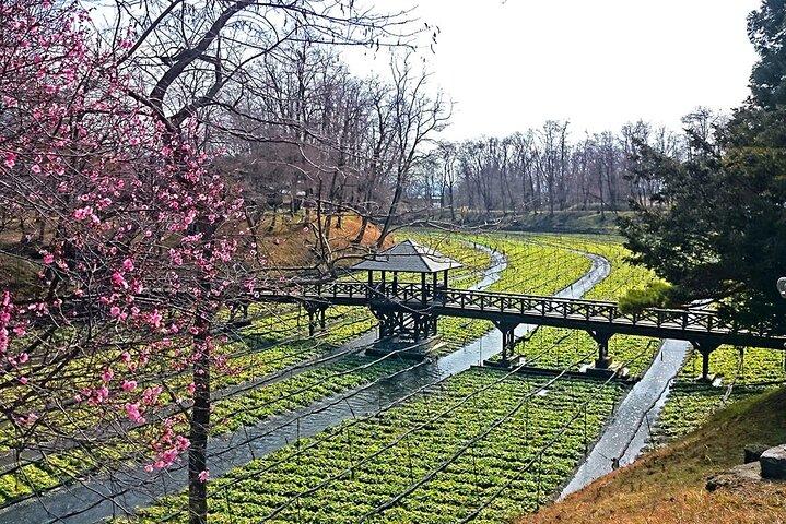 Visita guiada privada de meio dia em Nagano
