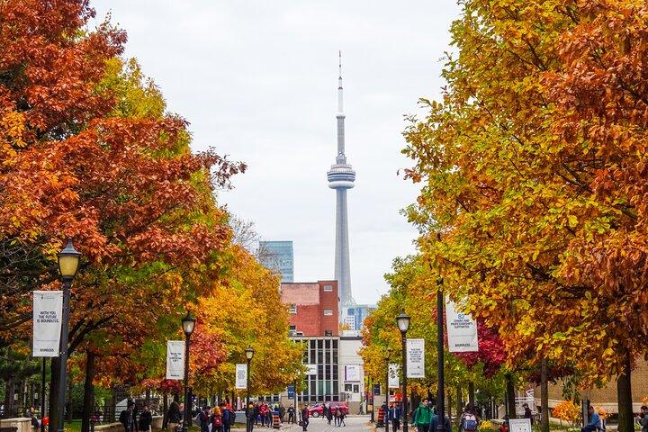 Best of Toronto: Bus Tour, Tasting & Cruise