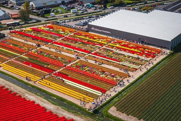 5 Stunden privates Tulpenerlebnis im Keukenhof