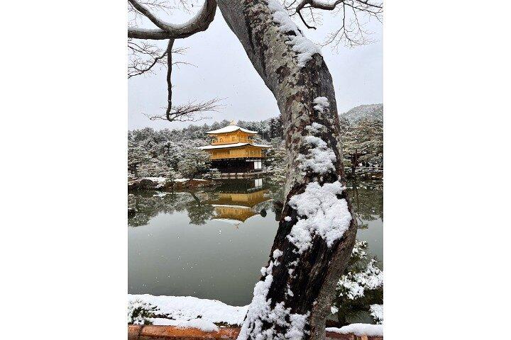 Excursion d'une journée en voiture privée à Kyoto