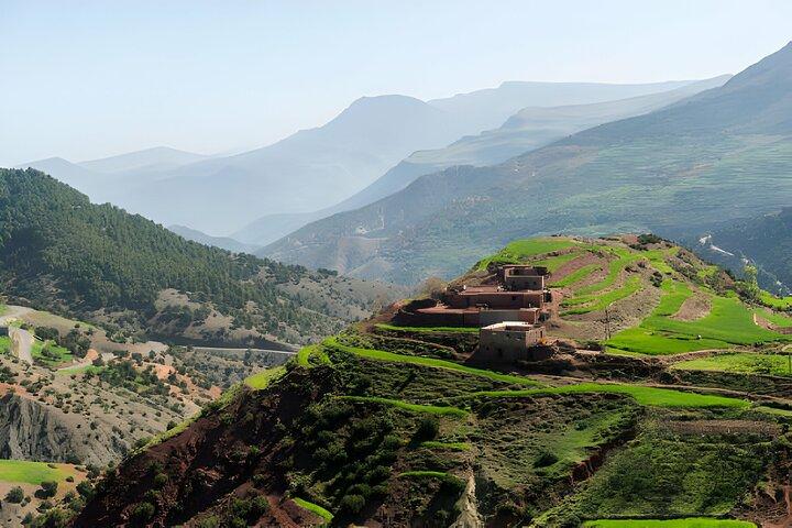 Marrakech: Atlas Mountains, Ourika Valley, Waterfall & Almoço
