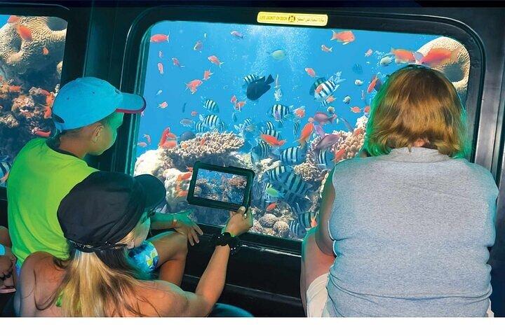 Crociera Sea Scope con trasferimento - Sharm El Sheikh