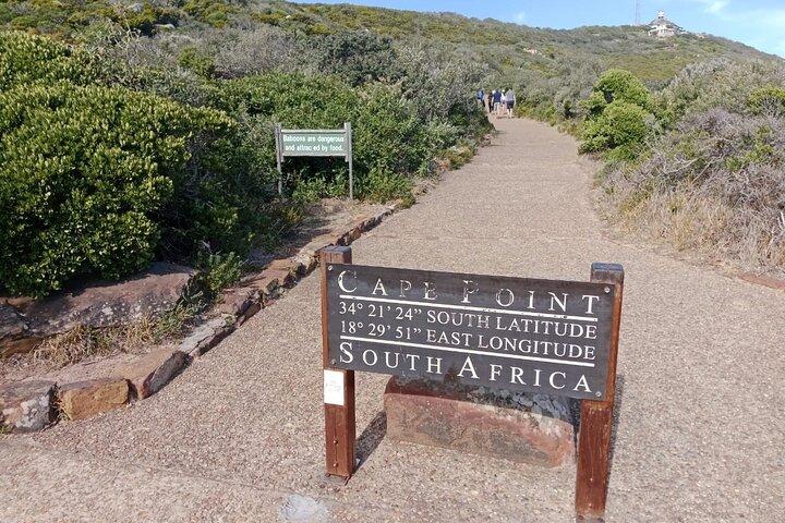 Fulddags halvø tur til Cape Point og pingviner i Cape Town