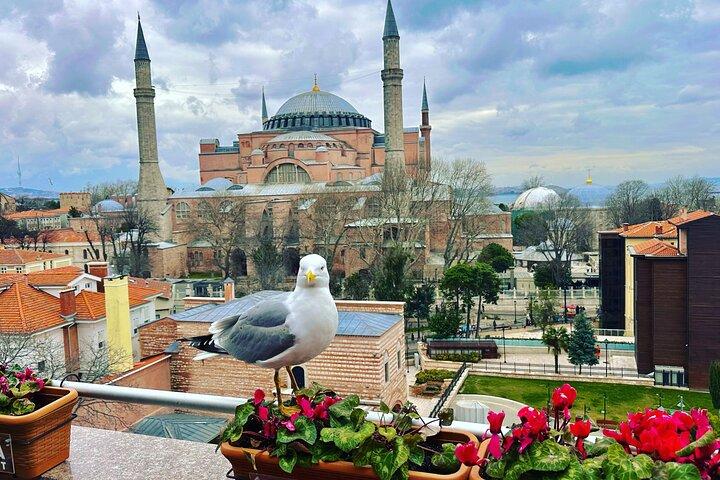 Istanbul privat tur : hoppa över köer, dolda pärlor, lokal Expert