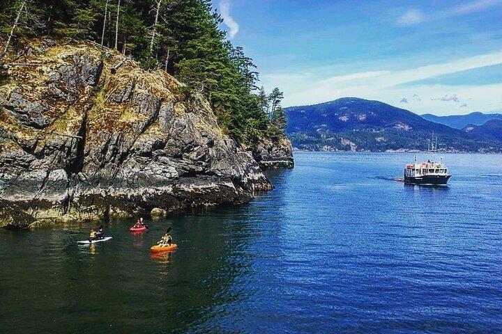Morgens Kajak- und Robbenfahrt in Vancouver