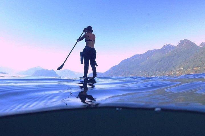 Morgens Kajak- und Robbenfahrt in Vancouver