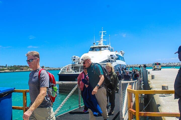 Robben Island Guided Tour plus Hotel Pickup Half Day