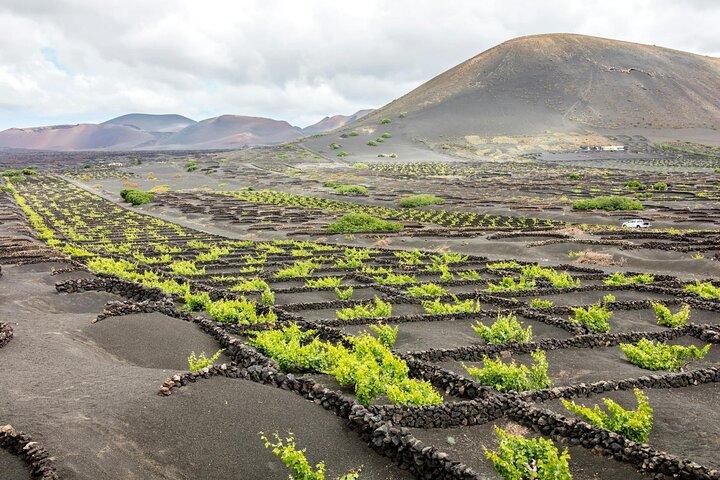 Lanzarote vulkaner og grotter Tour fra Fuerteventura