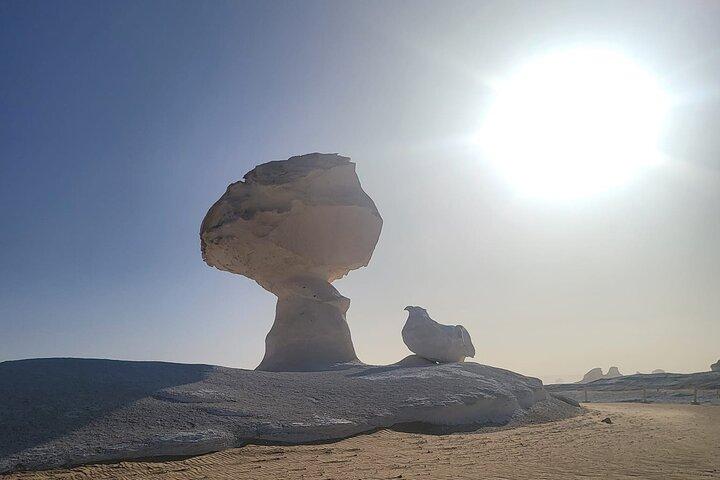 2 dagen kamperen in de Bahariya-oase