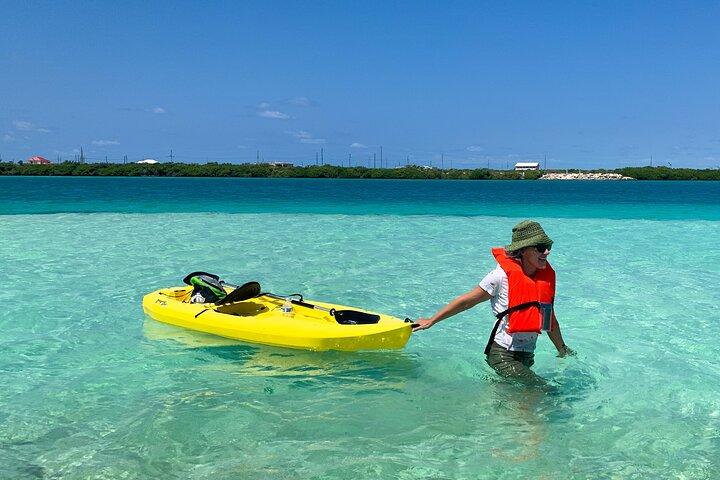 Clear kayak Grand Turk Island Kayak Tour door de mangroven