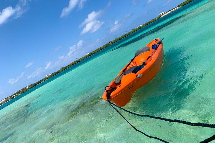 Clear kayak Grand Turk Island Kayak Tour door de mangroven