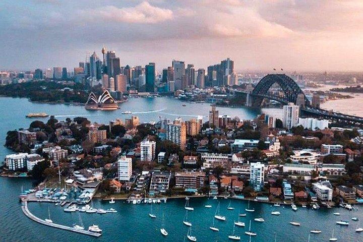Berättelsen om Sydney Tour (minibuss)