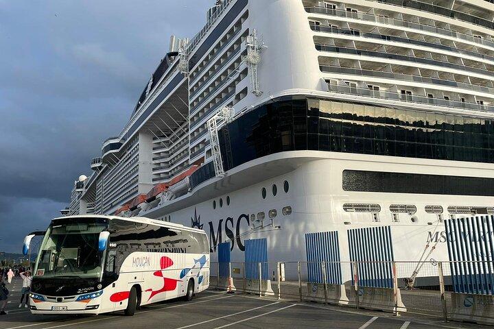 Excursion d'une journée à Santiago depuis Vigo pour les croiseurs uniquement