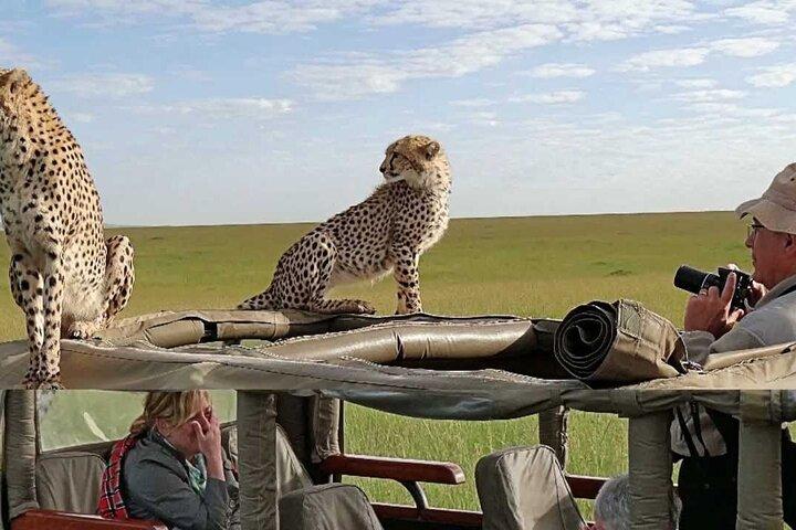 4 giorni Masai Mara, gruppo Lake Nakuru che si unisce al Budget Camping Safari