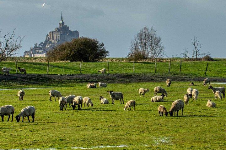 Escursione a Mont-Saint-Michel da Rennes - Autista privato