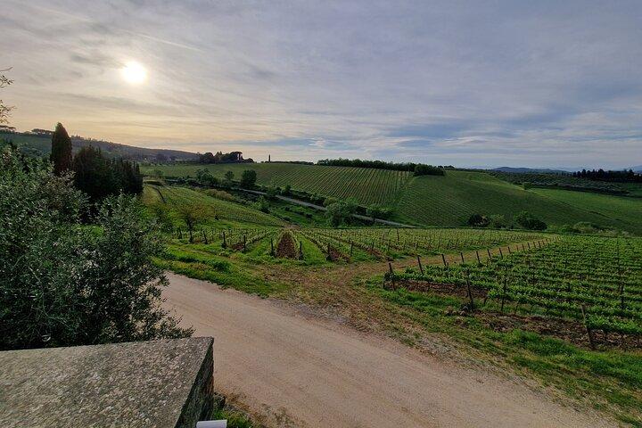 Tour privado de 2 bodegas de Chianti Classico Limo Service