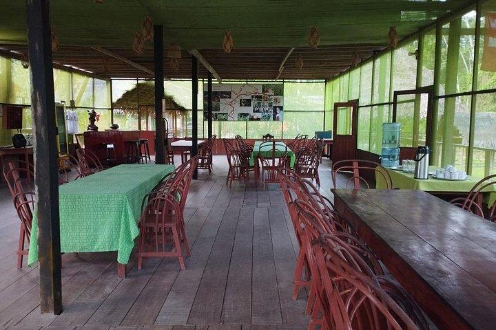 Increíble Selva 3 Días 2 Noches - Amazon Wonder Expeditions