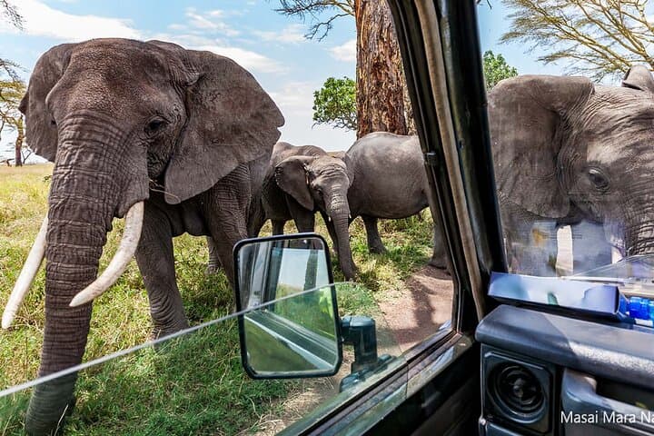 6 Day Best of Kenya and Tanzania Masai Mara Serengeti Ngorongoro