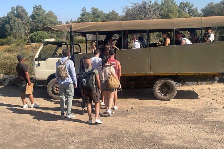 Safari Aquila Big 5 + Buffet déjeuner + Pick & Drop du CAP