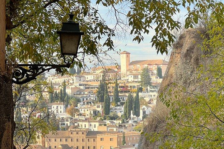 Entradas Alhambra Tour incluidas