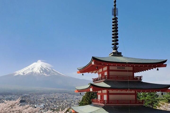 Excursão de carro privado ao Monte Fuji/Hakone com motorista/guia inglês