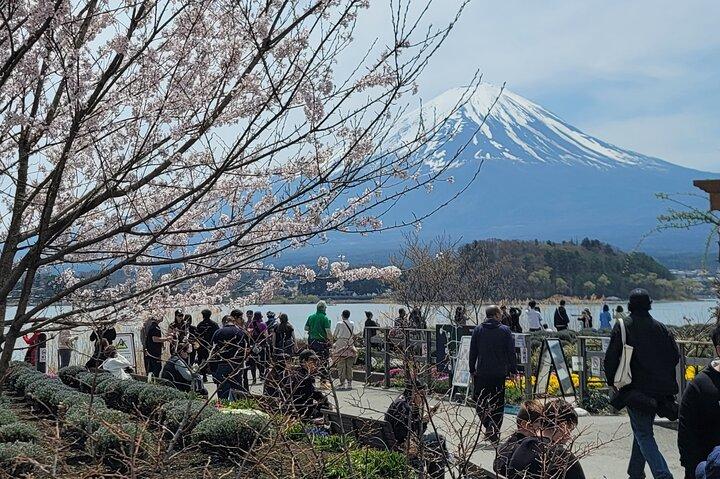 Privé autotour naar Fuji/Hakone met Engelse chauffeur/gids