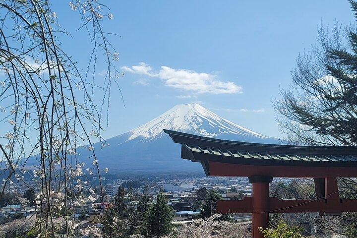 Privé autotour naar Fuji/Hakone met Engelse chauffeur/gids
