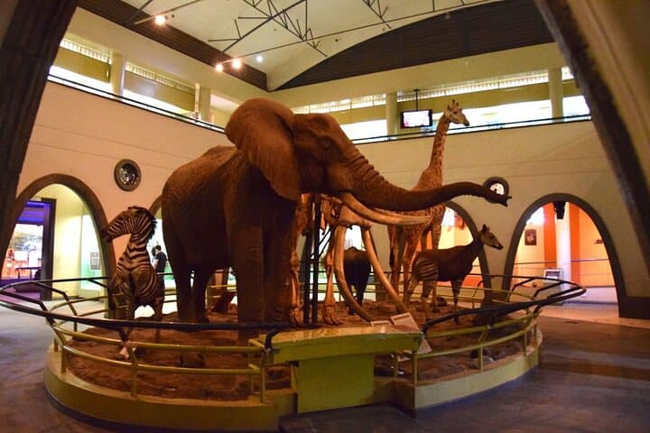 Tour Museum of illusions and Nairobi National Museum