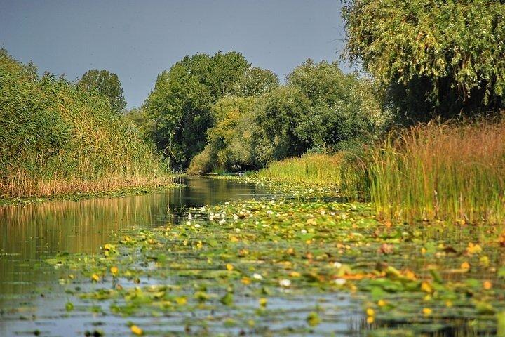 Viagem de um dia de Bucareste ao Delta do Danúbio