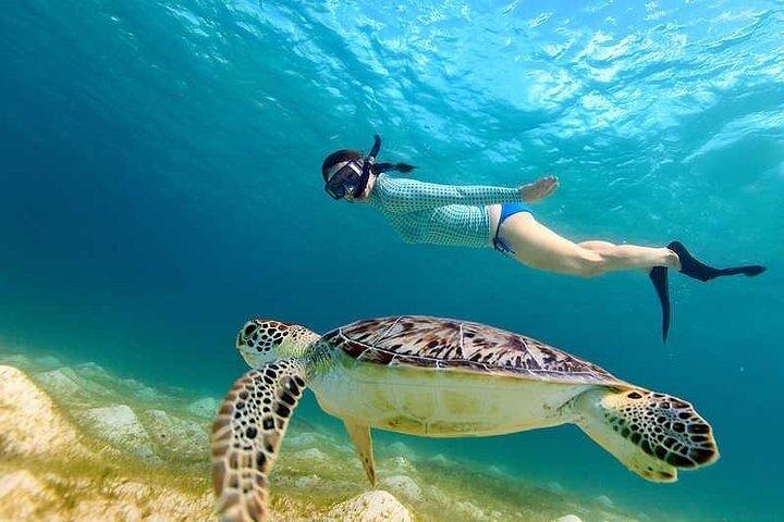 マルサ・アラムからのシュノーケリング付きマルサ・ムバラク
