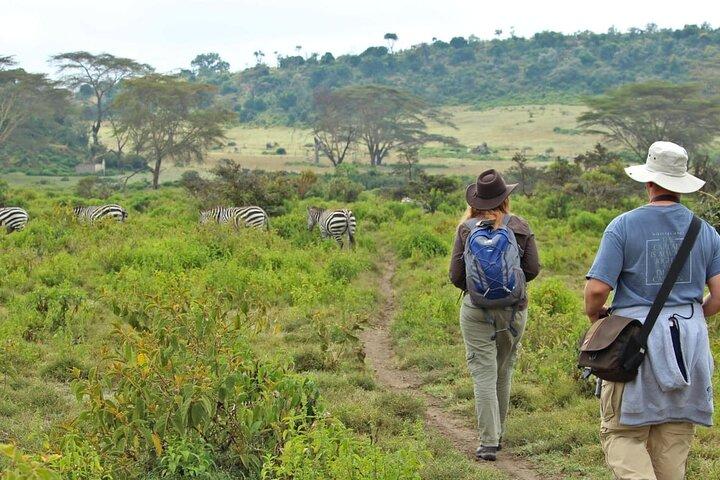 Excursion guidée d'une journée au mont Longonot au départ de Nairobi