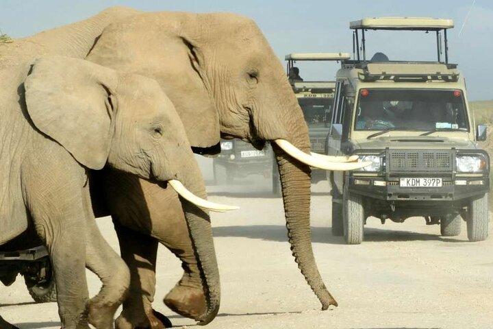 6 Days Rift Valley Lakes and Masai Mara Safari on 4x4 Jeep