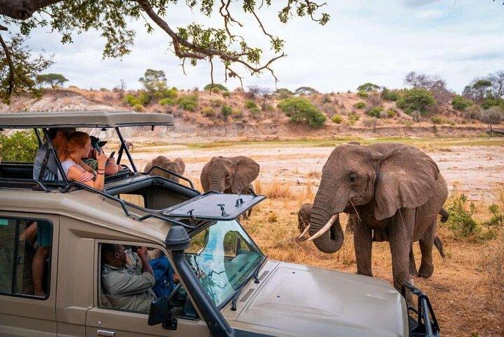 8 jours Tsavo Est Ouest Amboseli Lac Nakuru et Masai Mara Safari