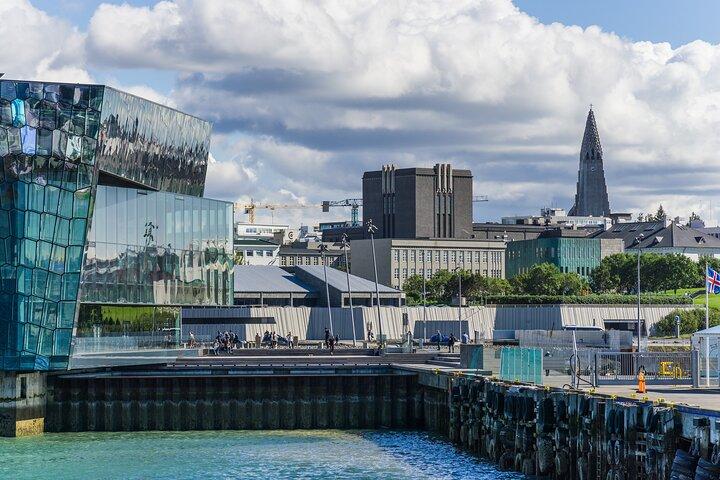Privat Reykjavik Art Walking Tour