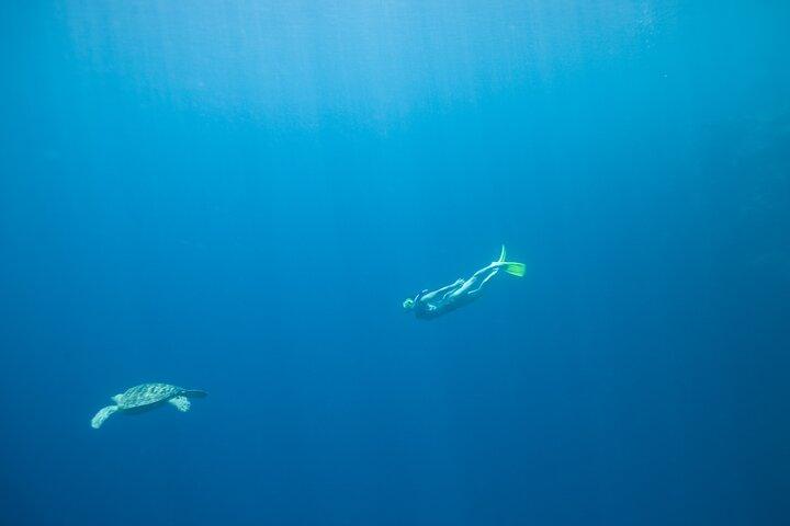 アカバ紅海でのプライベート シュノーケリング体験