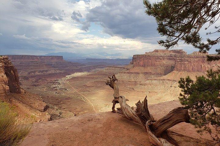 Anmeldelse af Arches & Canyonlands NP Tilbage til 4X4 Jeep