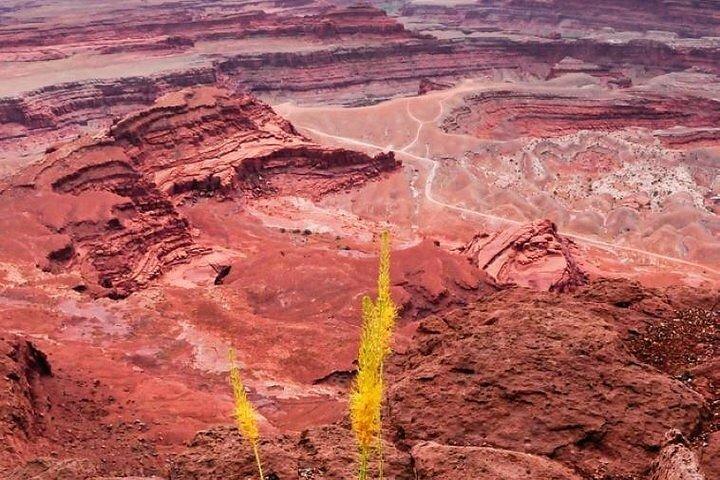 Anmeldelse af Arches & Canyonlands NP Tilbage til 4X4 Jeep