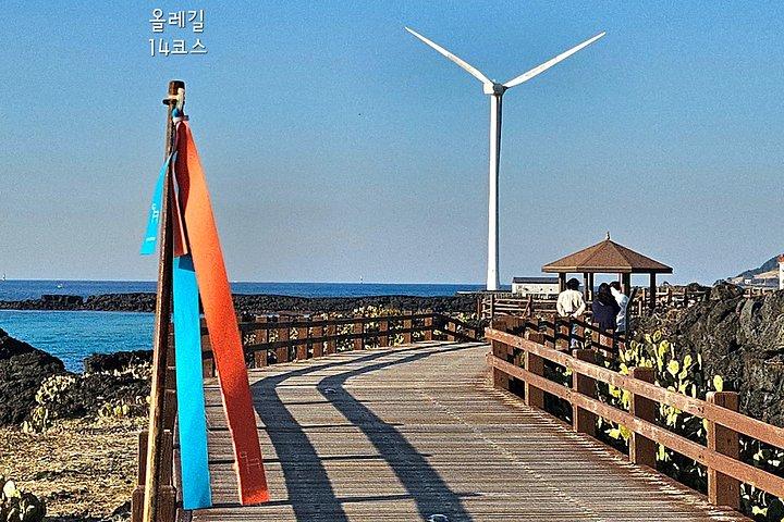 車椅子で行く済州島西の旅