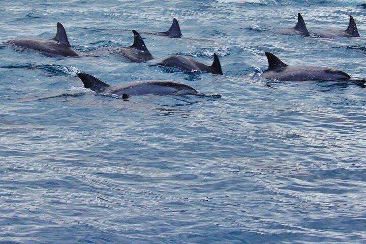 Ganzer Tag in Ile des Deux Cocos