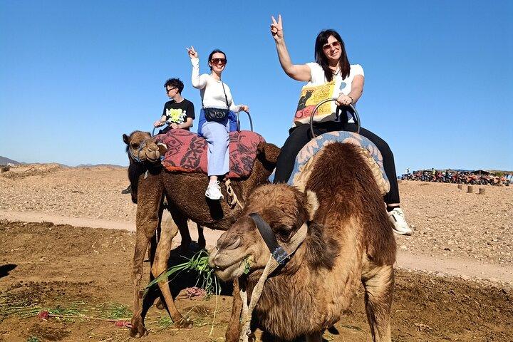 Giro in quad e cammello a Marrakech