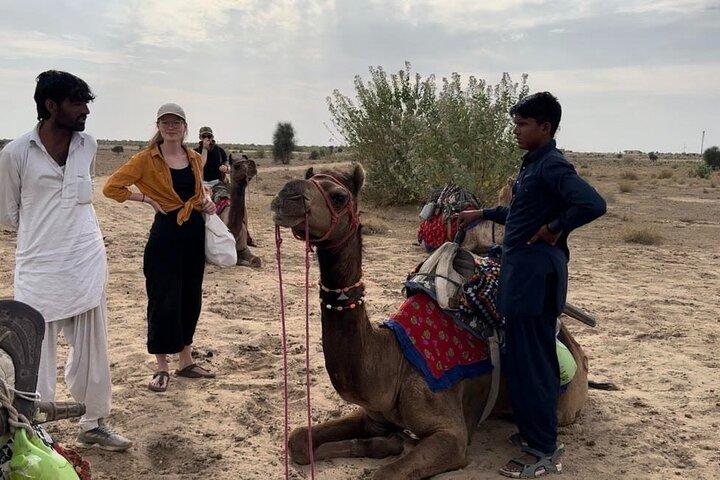 3 dages tur i Wild Desert Safari