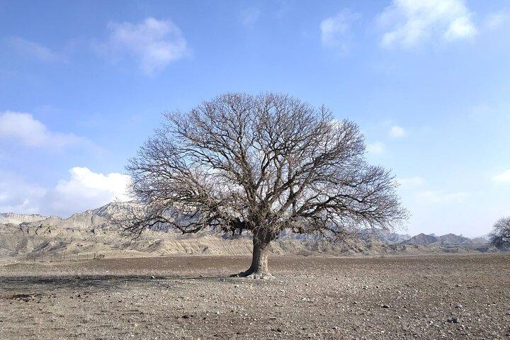 Dagtrip naar het Vashlovani Nationaal Park vanuit Tbilisi
