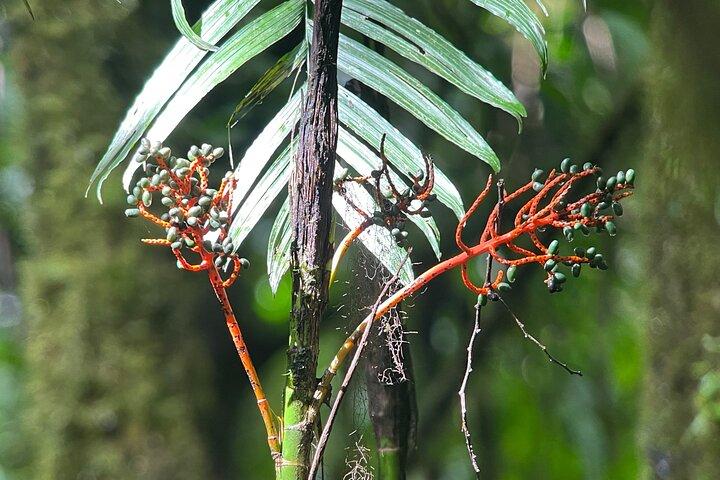 Parc national privé Manuel Antonio