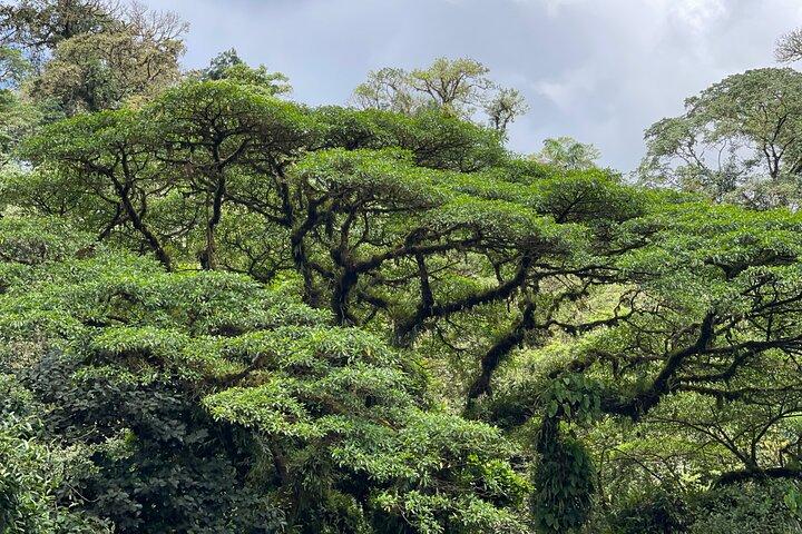 Parc national privé Manuel Antonio