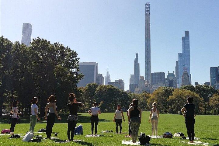 1 Hour Group Yoga Class in Central Park