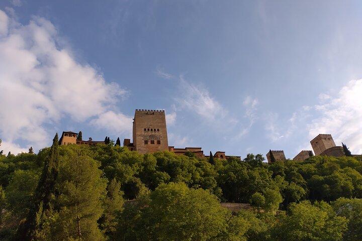 Private Tour to Alhambra with Guide (tickets not included)